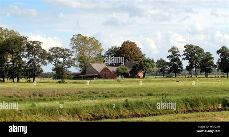 Traditional Dutch Farm At Sandebuur Village Leekstermeer Area Near