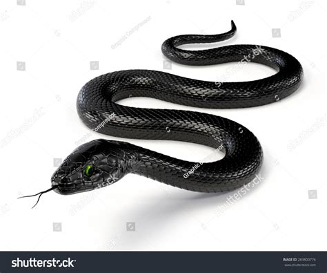 46,303 Snake black isolated Images, Stock Photos & Vectors | Shutterstock