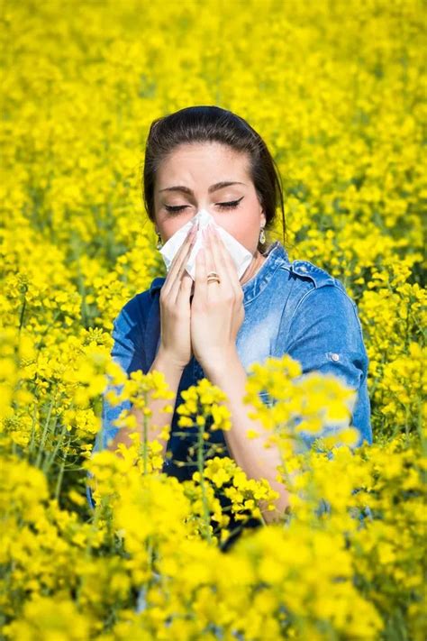 When Does Hay Fever Season Start Are There Different Types And How