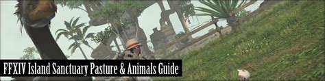 FFXIV Island Sanctuary | Pasture & Animal Guide – FFXIV Guild