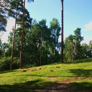 Уникальные фото и картинки, фотоконкурсы Дома Солнца