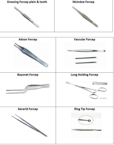 What Are The Different Types Of Surgical Forceps Printable Templates Free