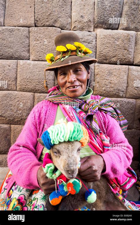 Quechua Woman In Traditional Clothes With A Baby Llama Cusco Peru