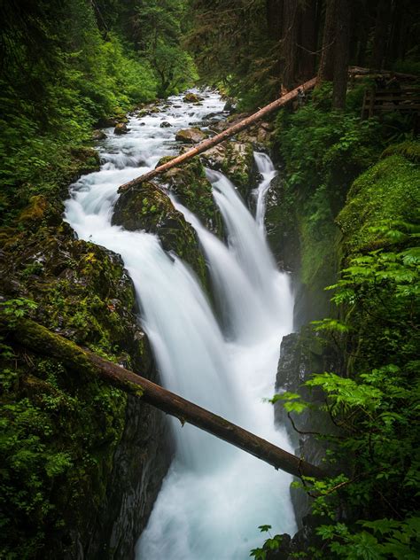 Hiking the Sol Duc Falls Trail in Olympic National Park - Parks & Trips