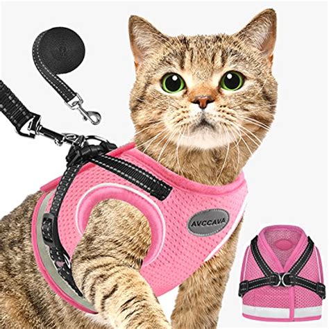 Best Cat Harnesses With Velcro For A Safe And Secure Adventure