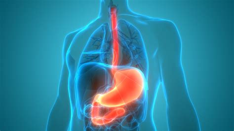 Hiatal Hernia / GERD | Advanced Thoracic