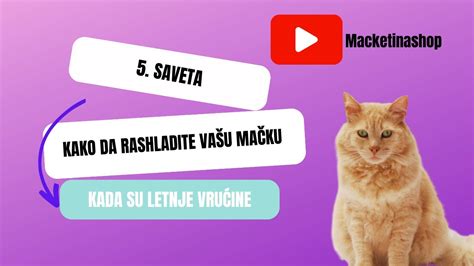 Saveta Kako Da Rashladite Va U Ma Ku Kada Su Letnje Vru Ine Youtube