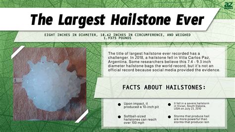 Discover The Largest Hailstone Ever Bigger Than A Softball A Z Animals