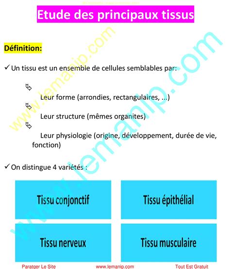 Les Tissus Anatomie Et Physiologie