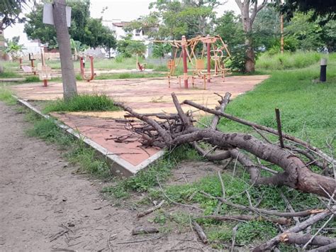 Bueno Y Malo As Califican Colimenses El Mantenimiento De Jardines