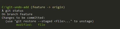 How To Undo Git Add
