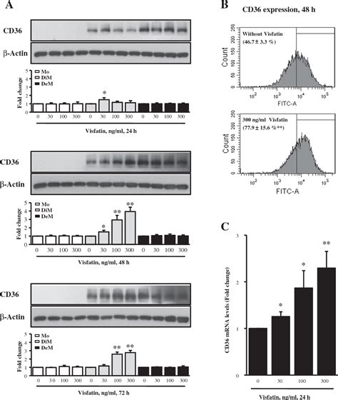 Figure From Visfatin Contributes To The Differentiation Of Monocytes