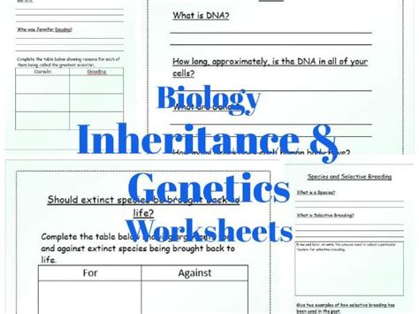 Ks Biology Inheritance And Genetics Worksheets Teaching Resources