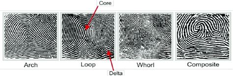 Composite Fingerprints