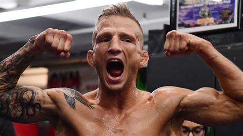 Ufc Brooklyn Tj Dillashaw Vs Henry Cejudo Preview