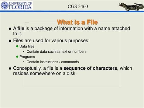 PPT - Understanding Files in Programming PowerPoint Presentation, free ... 