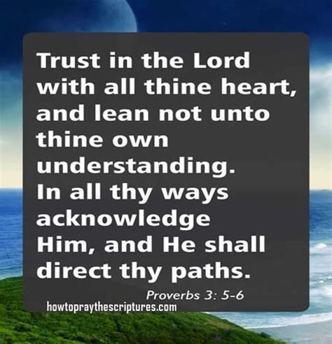 Trust In The Lord With All Your Heart Proverbs