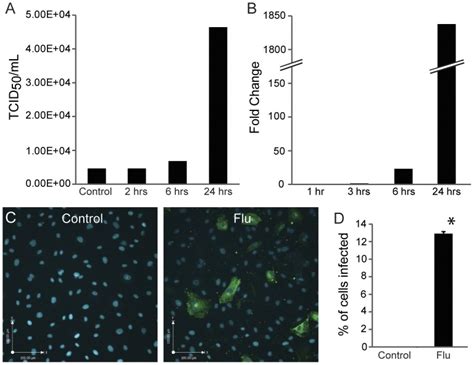 A Viral Titer Increases Over Time As Shown By Tcid50 Assay This Download Scientific Diagram