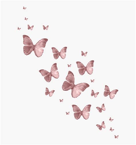 Butterfly Butterflys Pink Vintage Aesthetic Edit Lycaena Hd