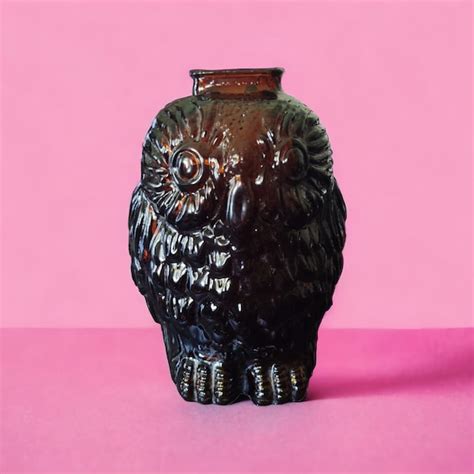 Vintage Glass Wise Old Owl Bank Etsy