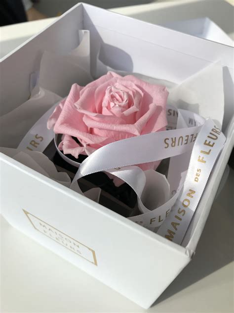 [쿼리오영어] Trump outlines reciprocal tariff plan, eyes implementation as ... 