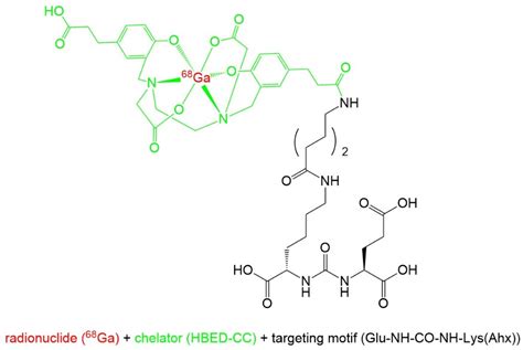 Pharmaceuticals Free Full Text 68ga Ga Psma 11 The First Fda