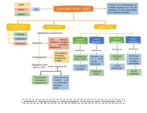 Mapa Conceptual Equilibrio Acido Base Esquemas Y Mapas Conceptuales