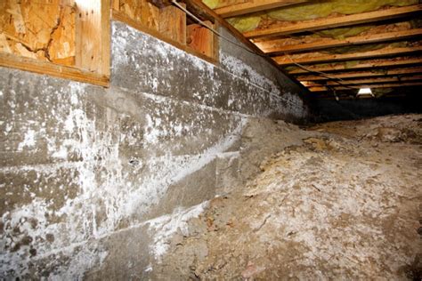 Decoding Crawlspace Waterproofing A Comprehensive Guide