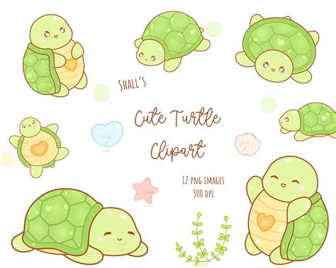 Cute Turtle Clipart Kawaii Turtle PNG Cute Turtles Clipart - Etsy