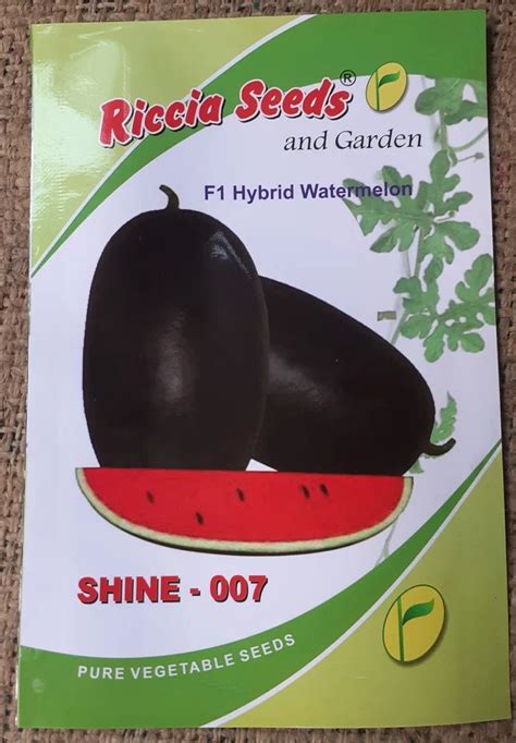 98 Hybrid Watermelon Shine 007 Seeds Packaging Type Packet