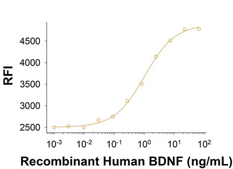 Recombinant Human Bdnf Protein Cf Bd By R D Systems Part Of