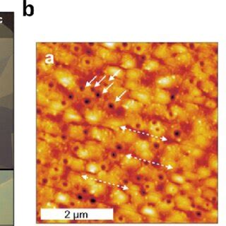 A Polarization Microscopy Images Of Triclinic Spherulites