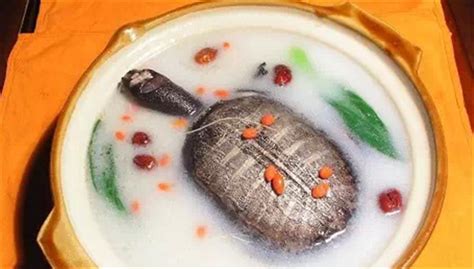 Braised Soft Shelled Turtle Soup Local Specialties