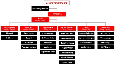 Organigramm Haltener Sportverein