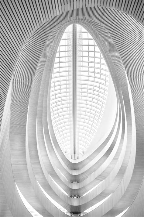 Santiago Calatrava Architecture - The Architect