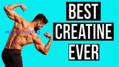 how dose creatine muscle building and creatine work strength | Creatine ...