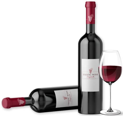 Exotic Wine Import – EXPLORE THE WORLD OF WINE