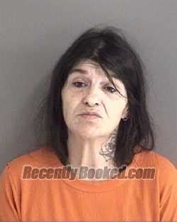 Recent Booking Mugshot For Janet Ellen Carver In Story County Iowa