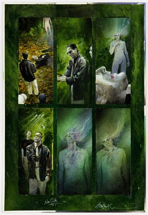 Black Orchid No By Dave Mckean Neil Gaiman Comic Strip