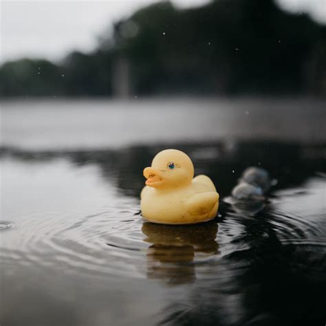 Duck Rubber Wallpapers - Wallpaper Cave