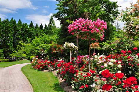 過去の写真～広島中山間地バラ園（安芸高田市、湧永満之記念庭園） 綺麗な写真 日々出来事