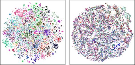 T SNE Visualization One Color For One Category Of Representations