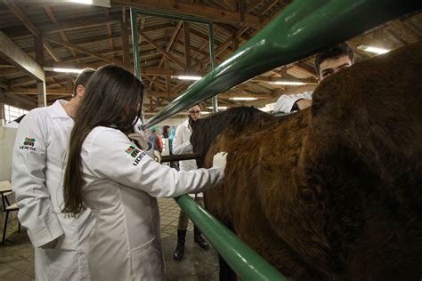 Udesc Lages Oferece Vagas Para Mestrado E Doutorado Gratuitos Em