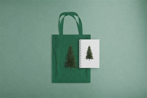 Real Fir Tree Cliparts Siberian Tree Overlays Png Realistic Look