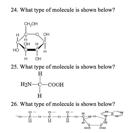 Solved 24. What type of molecule is shown below? CH2OH OH OH | Chegg.com