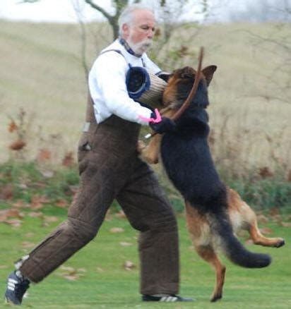 Helper Info & Photos