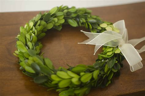 Mini Preserved Boxwood Wreath | The Blaithin Blair Shop