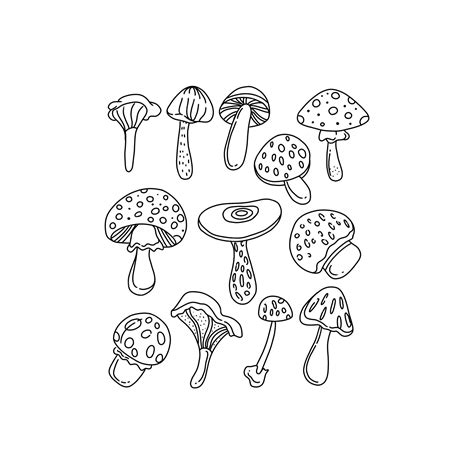 Premium Vector Mushroom Handrawn Doodle Illustration Vector Set