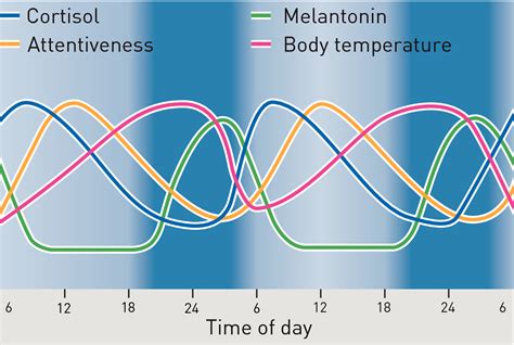 Light Therapy Circadian Rhythm At Jennifer Forbes Blog