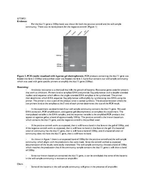 Roberts S7 DNA CER Assignment S7T5F Evidence For The Bla171 Gene